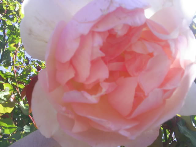 S5022332.jpg