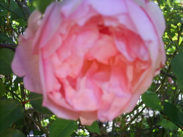 S5022382.jpg