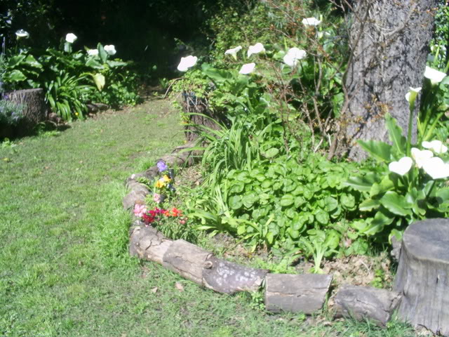 S5022458.jpg