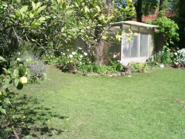 S5022463.jpg
