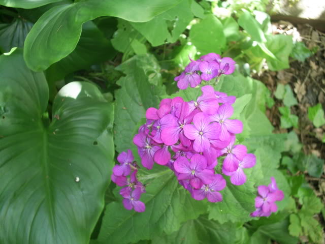 S5022472.jpg