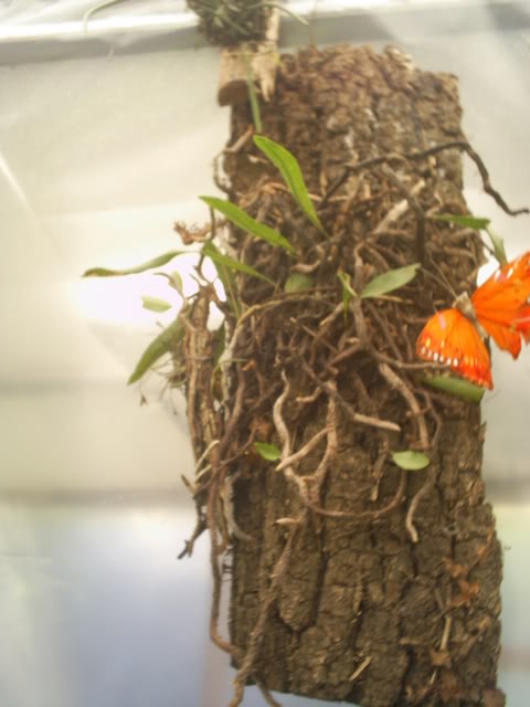 S5022477.jpg