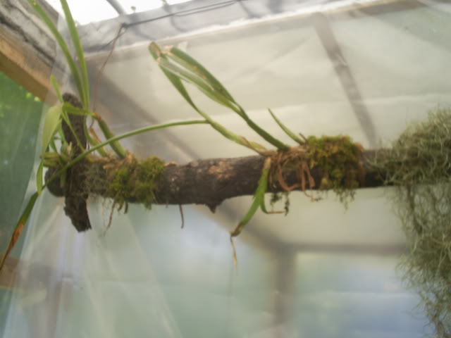 S5022480.jpg