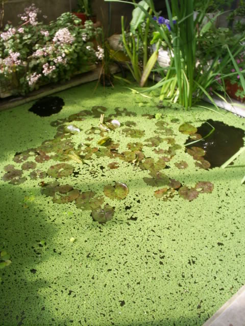 S5022544.jpg