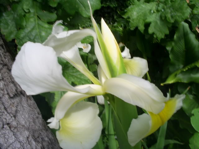 S5022553.jpg