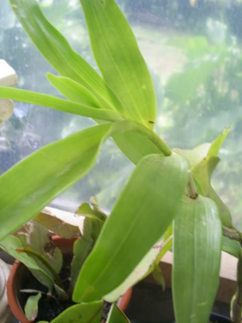 S5022556.jpg