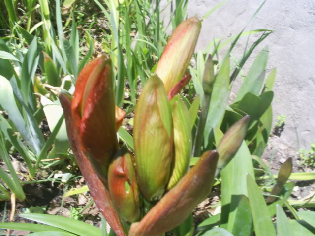 S5022611.jpg