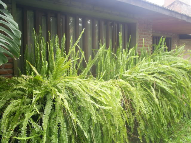 S5022767.jpg