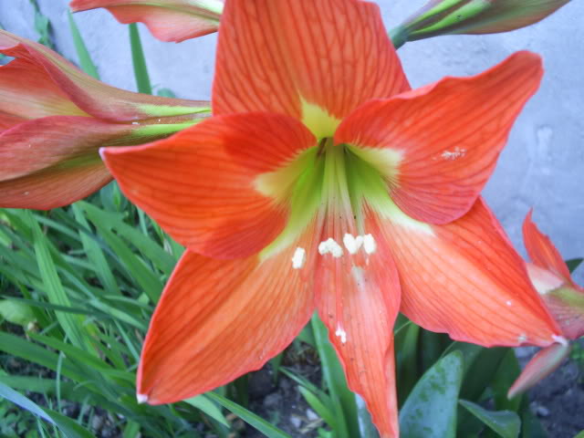 S5022774.jpg