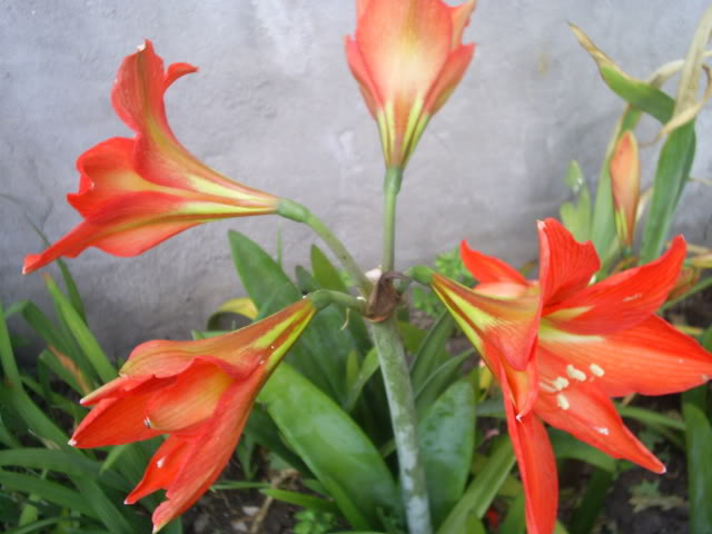 S5022775.jpg