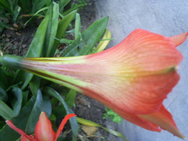 S5022776.jpg