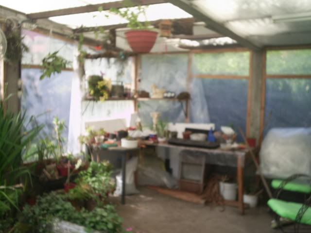 S5022830.jpg