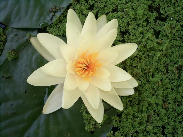 S5022853-1.jpg