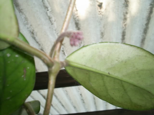 S5022858.jpg