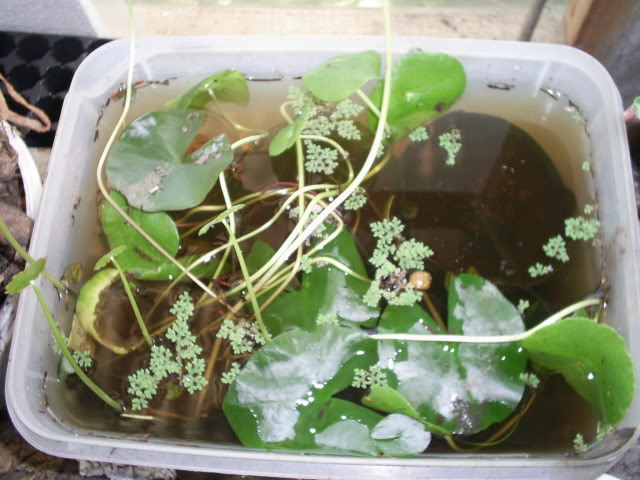 S5022859.jpg