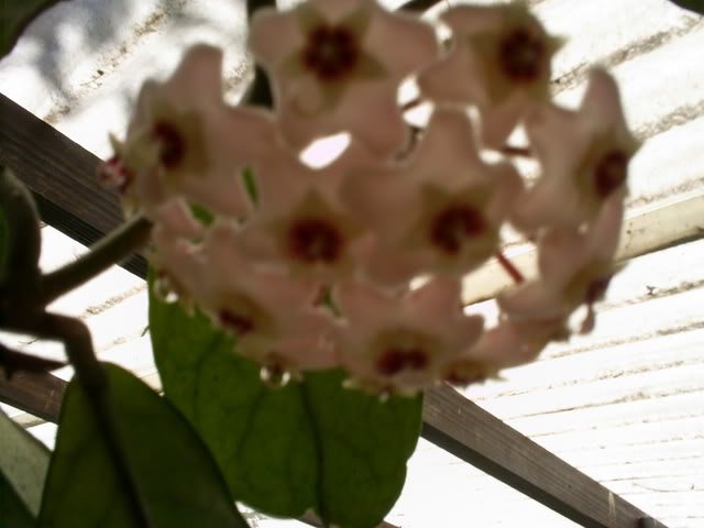 S5022946.jpg