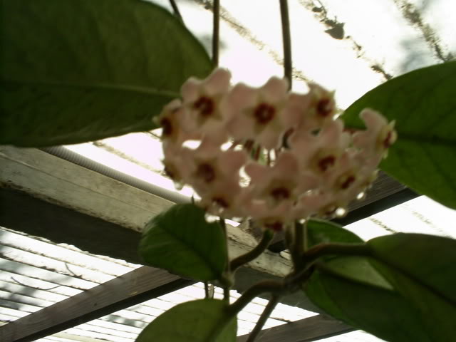 S5022947.jpg