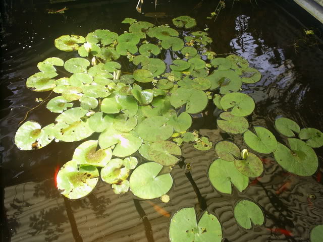 S5023000.jpg