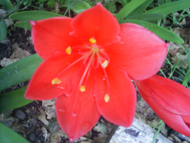 S5023020.jpg