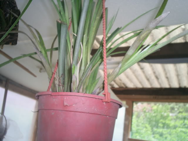 S5023032.jpg