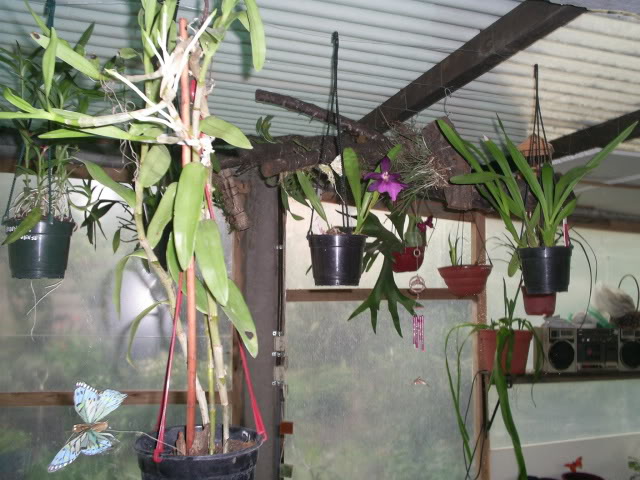 S5023078.jpg