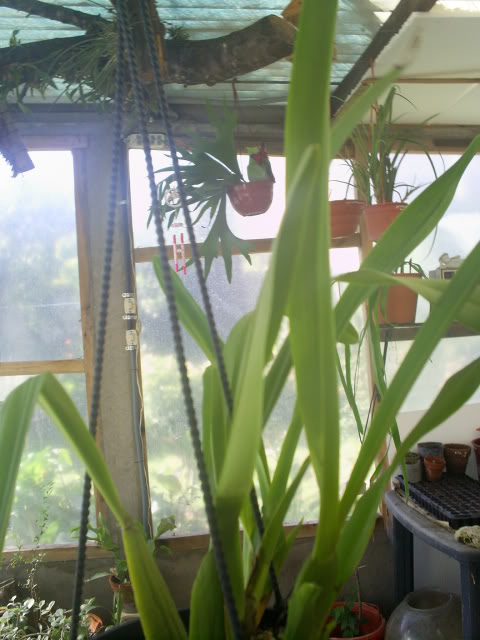 S5023093.jpg