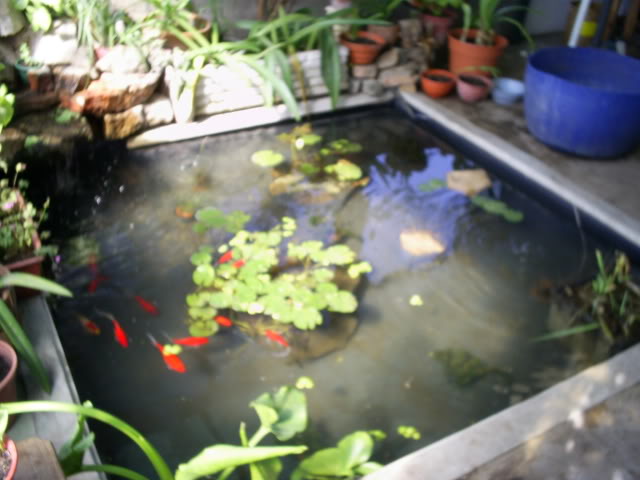 S5023121.jpg