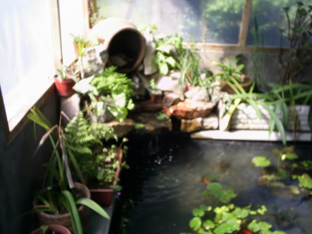 S5023124.jpg