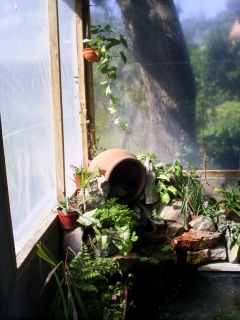 S5023125.jpg