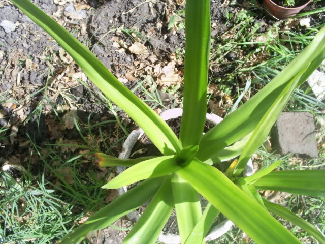 S5023226.jpg
