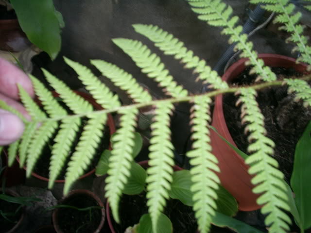 S5023281.jpg