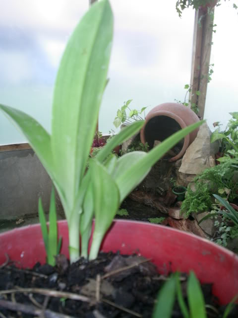 S5023304.jpg