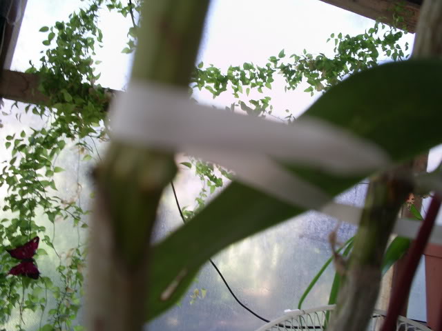S5023329.jpg