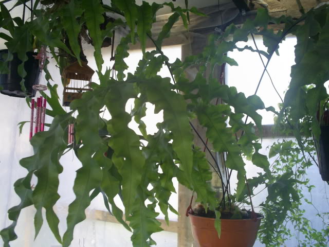 S5023343.jpg