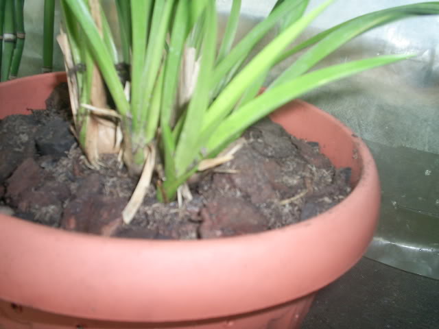 S5023359.jpg