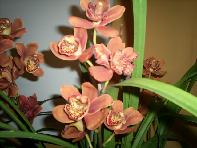 S5023367.jpg