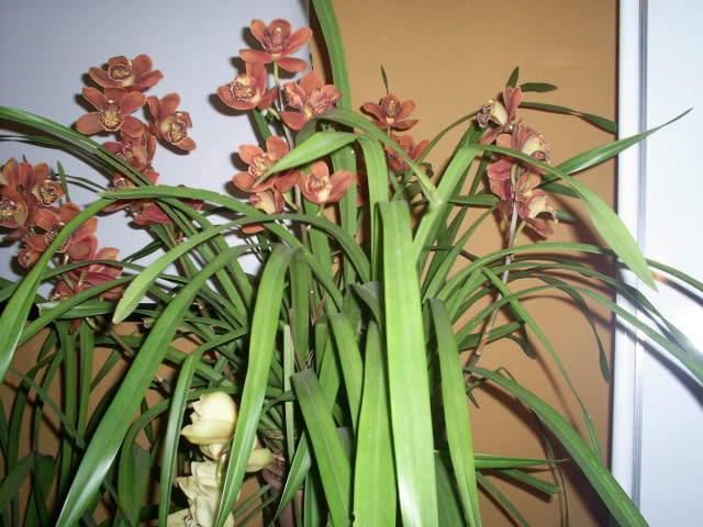 S5023370.jpg