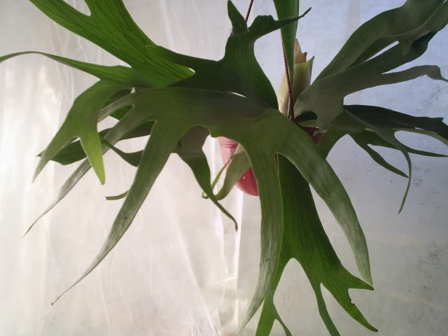 S5023382.jpg