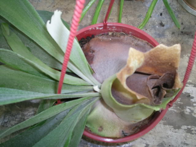 S5023400.jpg