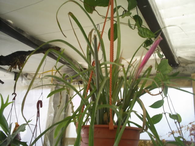 S5023585.jpg