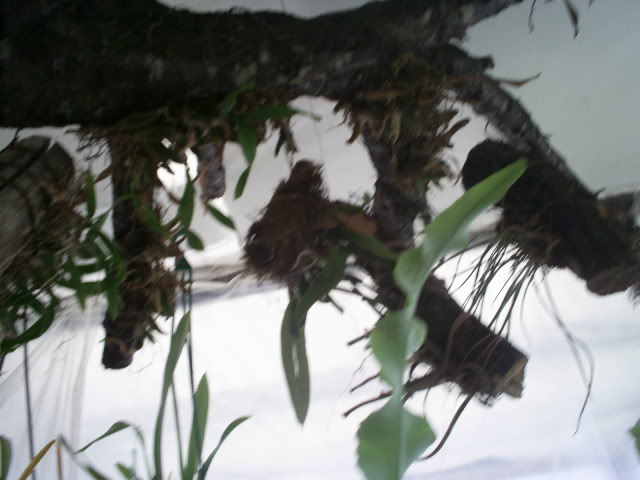 S5023602.jpg