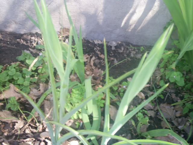 S5023738.jpg