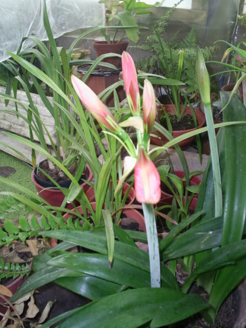 S5023753.jpg