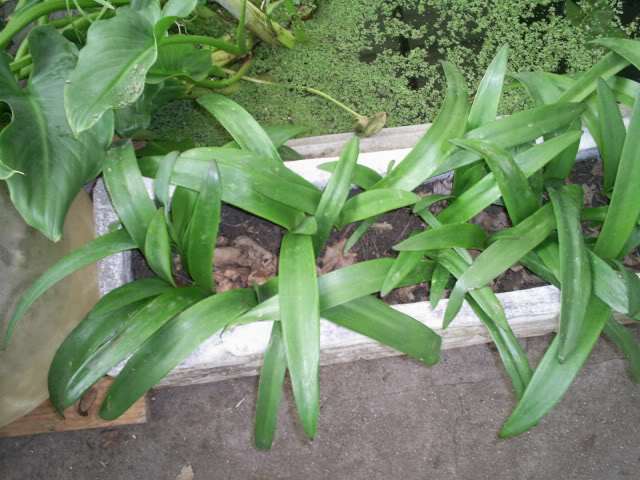 S5023758.jpg