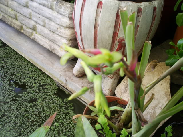S5023819.jpg