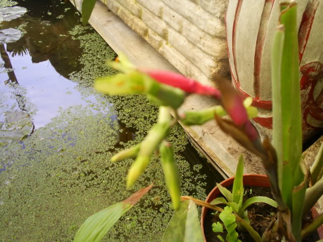 S5023820.jpg