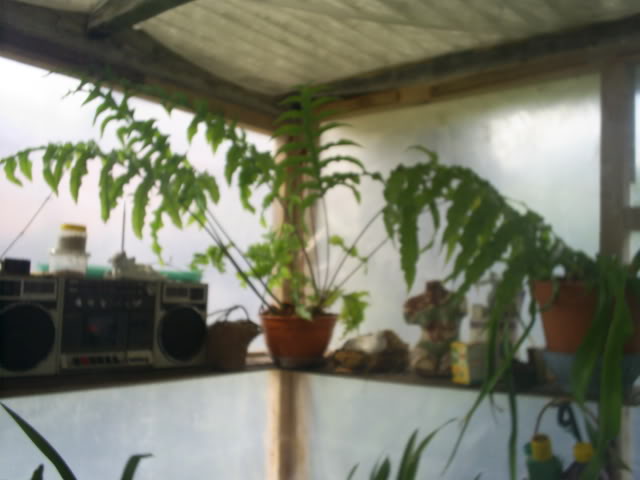 S5023873.jpg