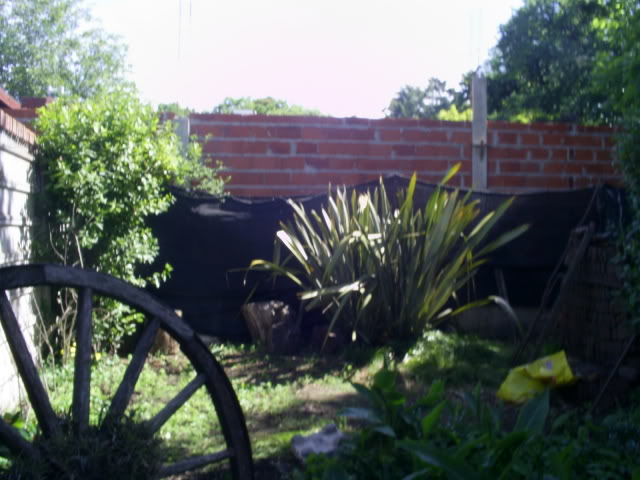 S5023918.jpg
