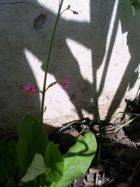 S5024088.jpg