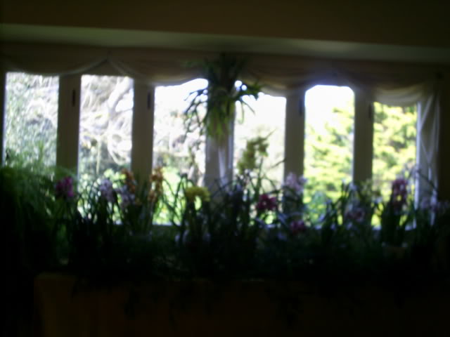 S5025210.jpg
